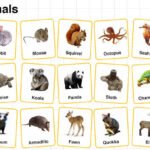 quiet animals