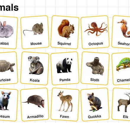 quiet animals