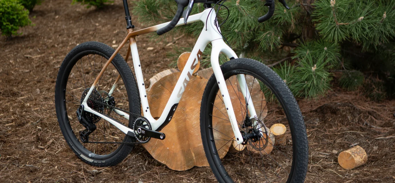 salsa bikes