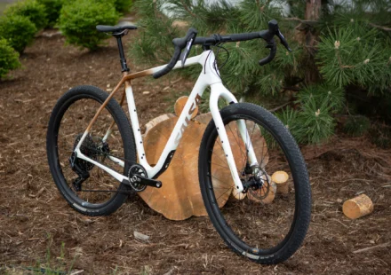 salsa bikes